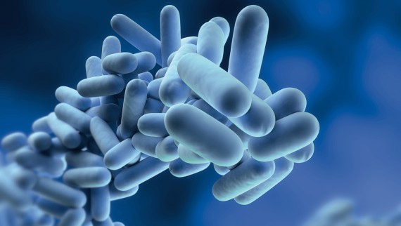 Joogivee hügieen, legionella Joogivee hügieen, legionella